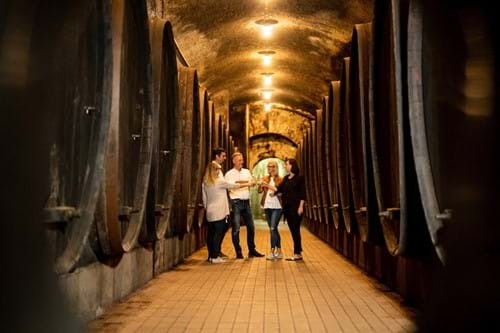Besichtigung und Weinverkostung im Weinkeller von Vinag - für Gruppen